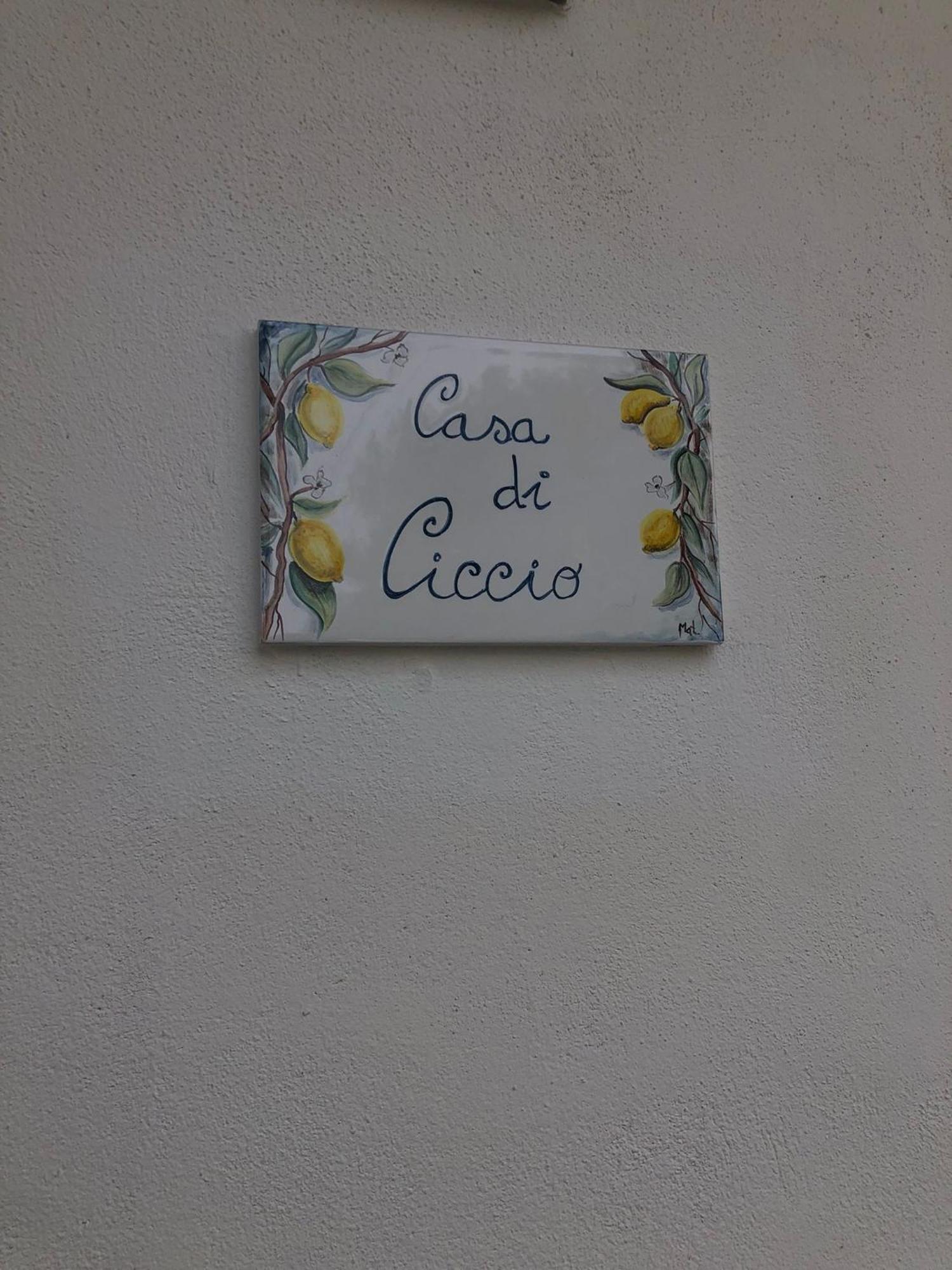Villa Giardino Degli Oleandri Palinuro Eksteriør bilde